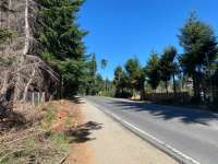 Terreno de 2.869 m2 en Venta sobre Avenida Bustillo km 21,300. Bariloche